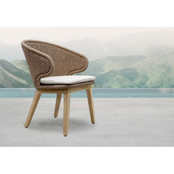 Ani Dining Carver Chair