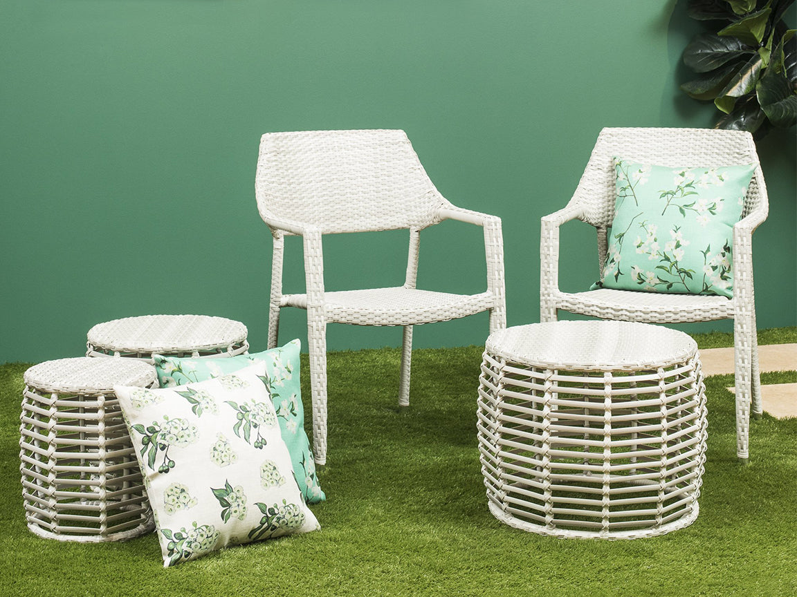 Bremen Carver Chairs